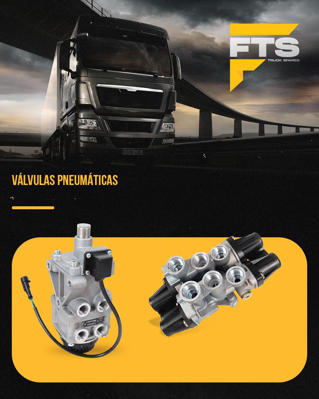 Promoção 10