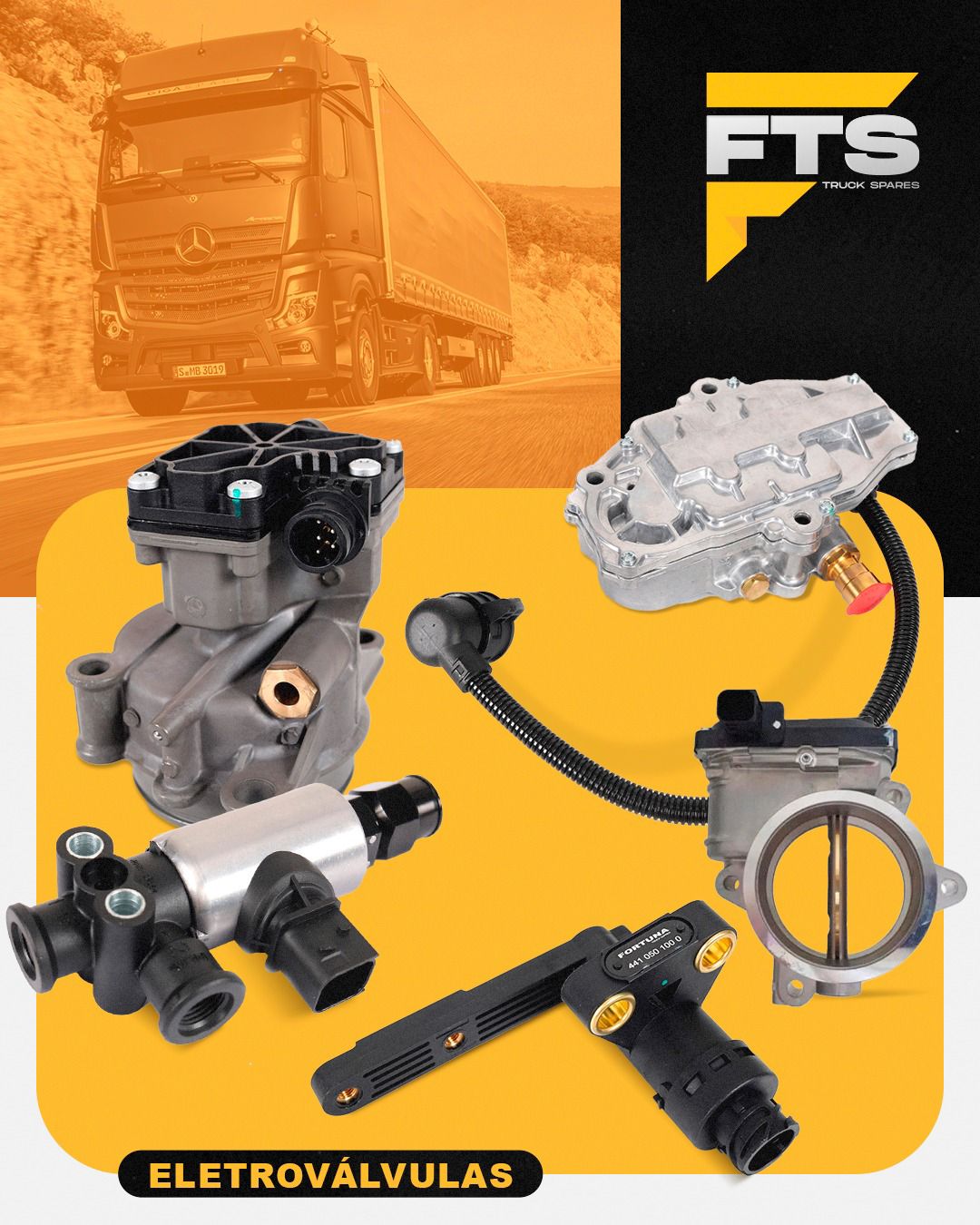Promoção 29