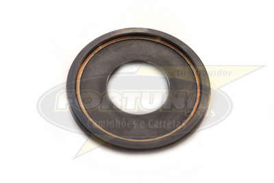 Foto de PORCA LATERAL COROA DIFER. MERITOR MS240/5 - Marca Compatível