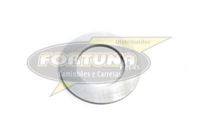 Foto de ARRUELA PORCA PINHAO DIFER. MERITOR (ENTRADA) - Marca Compatível