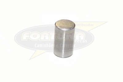 Foto de ROLETE ENGR. PLANETARIA CAMBIO ZF 16S221/ALUM.TDS - Marca Compatível