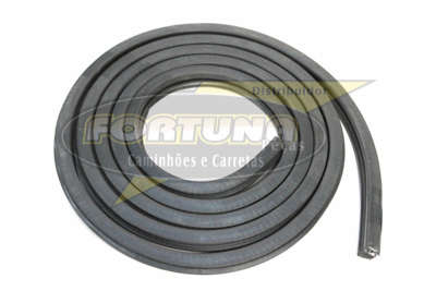 Foto de BORRACHA PORTA (EXTERNA) SCANIA 