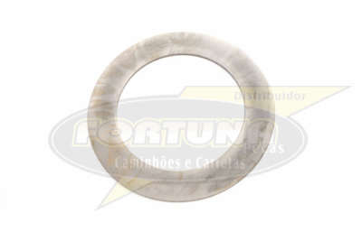 Foto de ARRUELA ENGR. PLANETARIA DIFER. RBP830/1 - Marca Compatível