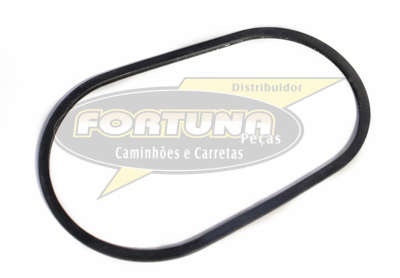 Foto de ANEL CAMARA TERMOSTATO SCANIA 360/440/80 - DC9/13 - Marca Compatível