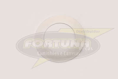 Foto de ARRUELA ENGR. PLANETARIA DIFER. R753/885 - Marca Compatível