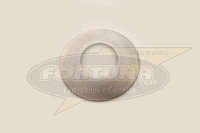 Foto de ARRUELA ENGR. SATELITE DIFER. R753/885 - Marca Compatível
