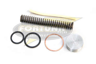 Foto de REPARO REDUZIDA DIFERENCIAL MERITOR MS240/245 - Marca Compatível